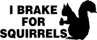 I Break for Squirrels Car Window Wall Macbook Notebook Laptop Sticker Decal