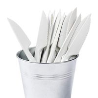 Royal Heavy Weight ABS Knives, Case of 1000