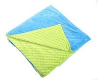 5lb Children's Weighted Blanket