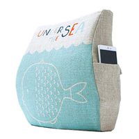 SPLY DTEM Memory Foam Back Support Pad - Designed for Back Pain Relief - Waist Pillow with Advanced Adjustable Shoulder Strap - Hypoallergenic Ventilation mesh.