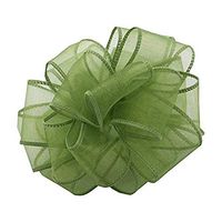 Berwick ISS-009-50-KIK Kiwi Wired Edge Ribbon