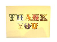 Punch Studio 12 Blank Thank You Note Cards with Gold Foiling, Includes Matching Lined Envelopes