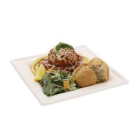 CiboWares 10 Inch x 10 Inch Square Sugarcane Bagasse Plates, Disposable and Eco-Friendly, Pack of 125