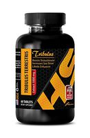 Sexual Enhancement for Women - TRIBULUS TERRESTRIS 1000MG - Natural Male Support - Tribulus terrestris Testosterone Booster - 1 Bottle (60 Tablets)
