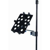 Quik Lok IPS10 iPad Holder, Black