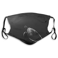 Mouth Masks for Dust Protection Anti Face Mask Washable Earloop Mask Activated Carbon Filter