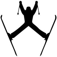 Mountain Skier Decal Sticker (Black, Mirrored), Decal Sticker Vinyl Car Home Truck Window Laptop