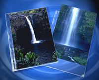 Clear File 8 X12 Print Page (25 pack)