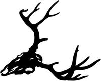 Deer Buck Skull Antler Hunting Sportsman Car Truck Windows Decor Decal Sticker - Die cut vinyl decal for windows, cars, trucks, tool boxes, laptops, MacBook - virtually any hard, smooth surface