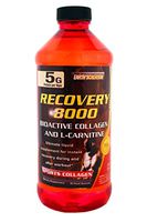 Recovery 8000 with Collagen and L-Carnitine by Earth's Creation