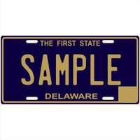Custom Personalized Metal License Plate Your Name Your State - Choose from All 50 States (Delaware, 6" x 12" Standard Thickness (.030"))