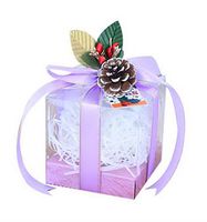 Gentle Meow 10 Pcs Christmas Apple Boxes Transparent Candy Gift Box Purple Ribbon + Pine Nut