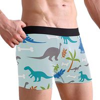WXLIFE Cute Animal Dinosaur Pattern Boxer Briefs Men's Underwear for Men Boy
