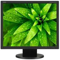 NEC AccuSync AS192-BK 19-Inch LED Desktop Monitor
