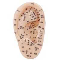 Ear Acupuncture Model,Auricular Model Anatomy Professional Ear Model, Eardrum Ear Acupoint Model (02#)