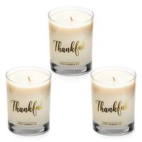 LUNA CANDLE CO. Thankful - Apple Cinnamon Scented Luxurious Candles - 11 Oz (3 Pack)