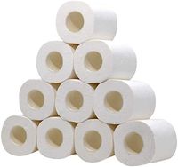 140g (0.31LB)/Roll, 4-Ply, 10 Rolls,Silky Smooth Soft Professional Premium Toilet Paper, Home Kitchen Toilet Tissue, Soft, Strong and Highly Absorbent Hand Towels for Daily Use, Workshop, Restaurant