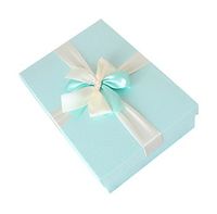 Gentle Meow Simple Box with Bowknot Rectangle Birthday Wrapped Box Blue