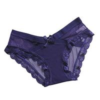 Theoylos Womens Underwear Lace Bikini Panties Silky Comfy Lace Briefs Ladies Elastic Large Size Panties Seamless Briefs Blue