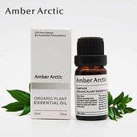 AMBER ARCTIC Camphor Essential Oil for Diffuser, 100% Pure Fresh Organic Plant Therapy Camphor Oil 10ml/0.33oz