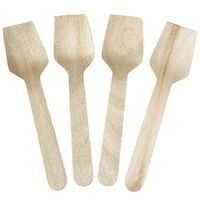 [25 Count] Wooden Mini Biodegradable Tasting Spoons Small 3.75 Inch Eco Friendly Square Gelato Spoons - Perfect for Sampling Food, Ice Cream, or Spices - Frozen Dessert Supplies