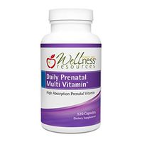 Daily Prenatal Multi Vitamin - High Absorption Methyl Folate, Coenzyme B Vitamins, Iron Bisglycinate (120 Capsules)