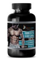 libido Booster for Men Sex - TRIBULUS TERRESTRIS 1000MG - 40% Extract - tribulus terrestris 1000 mg - 1 Bottle (60 Tablets)