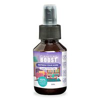 Everyday Furniture Spray by FURNITURE BOOST I 3.4 fl oz I Make Your House Smell Like Lavender I Lavender Scent for Old Furniture I Alternative to Leather Furniture Cleaner and Old Furniture Spray