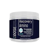 Recovery Amino SP (3)
