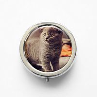 RhyNSky Animal Scottish Fold Cat Mini Portable Pocket Pill Box Case Holder for Purse, 3 Compartments, Silvery, FS118