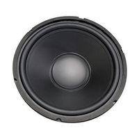 12" Woofer with Poly Cone and Rubber Surround 120W RMS at 8ohm
