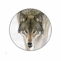 Wolf Face Stickers - Gift Bag or Envelope Seals - Wolves Animal Theme Stationery Design - Party Favor Supplies - Set of 24