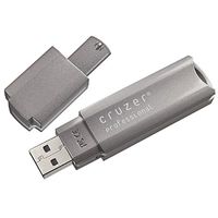 Cruzer Professional 4GB