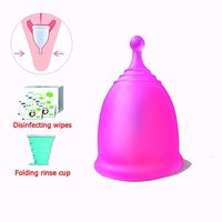 DNNAL Menstrual Cup, Medical Silica Gel Leakproof Reusable Period Cup Super Soft and Flexible with Folding Rinse Cup,Pinks
