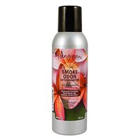 Paul Hoge Creations Smoke Odor Exterminator 7oz Large Spray, Frangipani