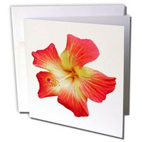 3dRose Gorgeous Red and Gold Hawaiian Hibiscus Flower Greeting Card (gc_273634_5)