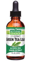 Botanic Choice Green Tea Leaf Liquid Extract - Alcohol-Free Herbal Daily Supplement - Promotes Energy Boost and Overall Wellness