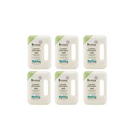 PiPPER STANDARD Luandry Detergent, Natural Eucalyptus 900ml. Pack 6 bottles
