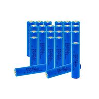 3.6V 700mah ER10450 Li-SOCl2 Lithium Battery,24 Counts