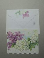 Carol's Rose Garden White Hydrangeas Blank 10 Card Set Portfolio