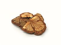 红藤 | Sargentgloryvine Stem