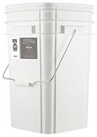 RAW Silica (25 lb)
