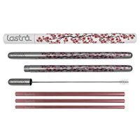 LASTRA High Fashion Reusable Stainless Steel Straw Set 3 Metal Nested Drinking Straws Stainless Steel Housing Wide Smoothie Straw Standard Soda Straw and Hot Beverage Sip/Stir Straw (Cherry Blossom)