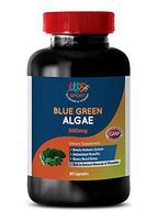 Klamath Blue Green Algae Powder - Organic Blue Green Algae 500mg - Body Detox and Cleanse for Men - 1 Bottle 60 Capsules