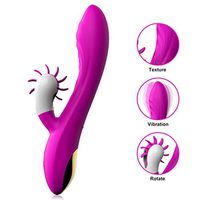 Rábbit Víbéràte Vibrating Realistic Adult Toy Rechargeable Waterproof Silicone Massage Toy for Women Female Couples with 10 Modes