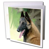 3dRose Belgian Malinois Portrait Greeting Cards, Set of 6 (gc_4388_1)