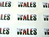 Pack of 30 Wales Flag Seals, 51x25mm Oval Seal Labels, Stickers for Craft, Decoration, Gift Wrapping, Presents, Envelopes, Bags or Cards