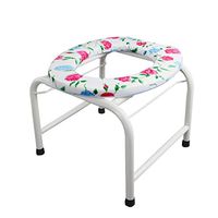 Zhong Spraying Toilet Seat, Elderly Toilet Seat, Pregnant Woman Toilet, Movable Toilet Seat Stool