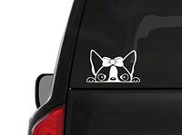 Peeking Boston Terrier Girl (A25) Vinyl Decal Sticker Car/Truck Laptop/Netbook Window