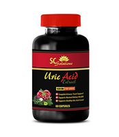antioxidant Blend Supplements - URIC Acid EXTRACTS 1430 MG - Urinary Natural - 1 Bottle (60 Capsules)
